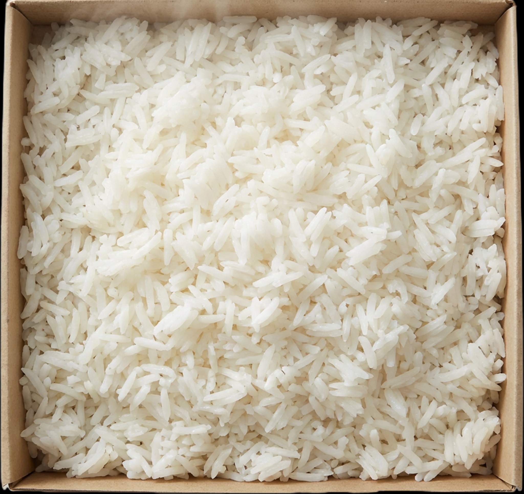 Steamed Jasmine Rice